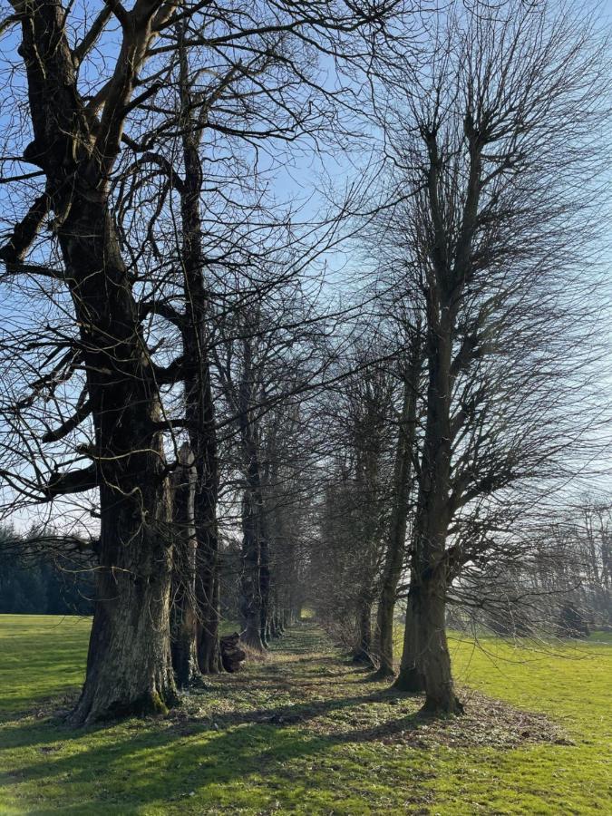 Chateau De Trebons Grainville-Ymauville ภายนอก รูปภาพ